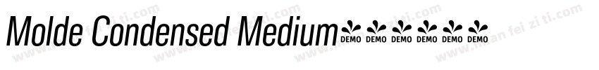 Molde Condensed Medium字体转换